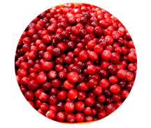 Frutos de lingonberry estão contidos em cápsulas de Prostamin, eles aliviam o inchaço